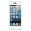 Apple iPhone 5 16Gb white - Тайшет